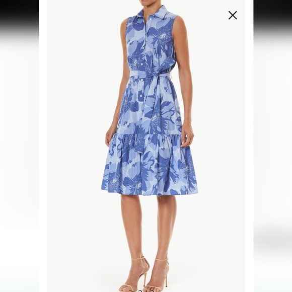 Carolina Herrera Blue Floral Midi Dress - Picture 8 of 10